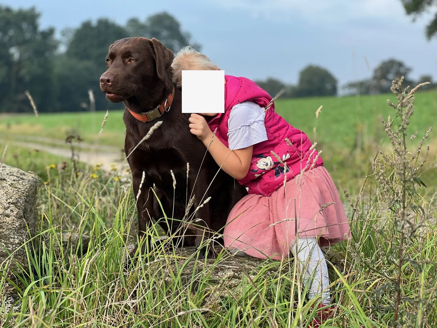 Elli – Bild 26