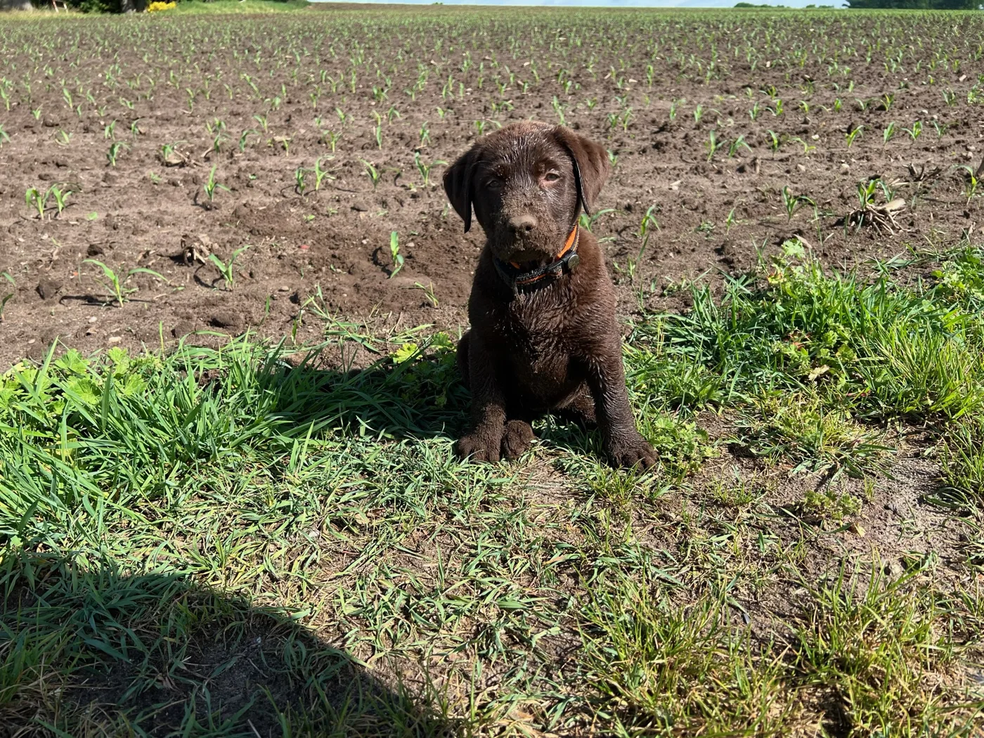 Elli – Bild 4