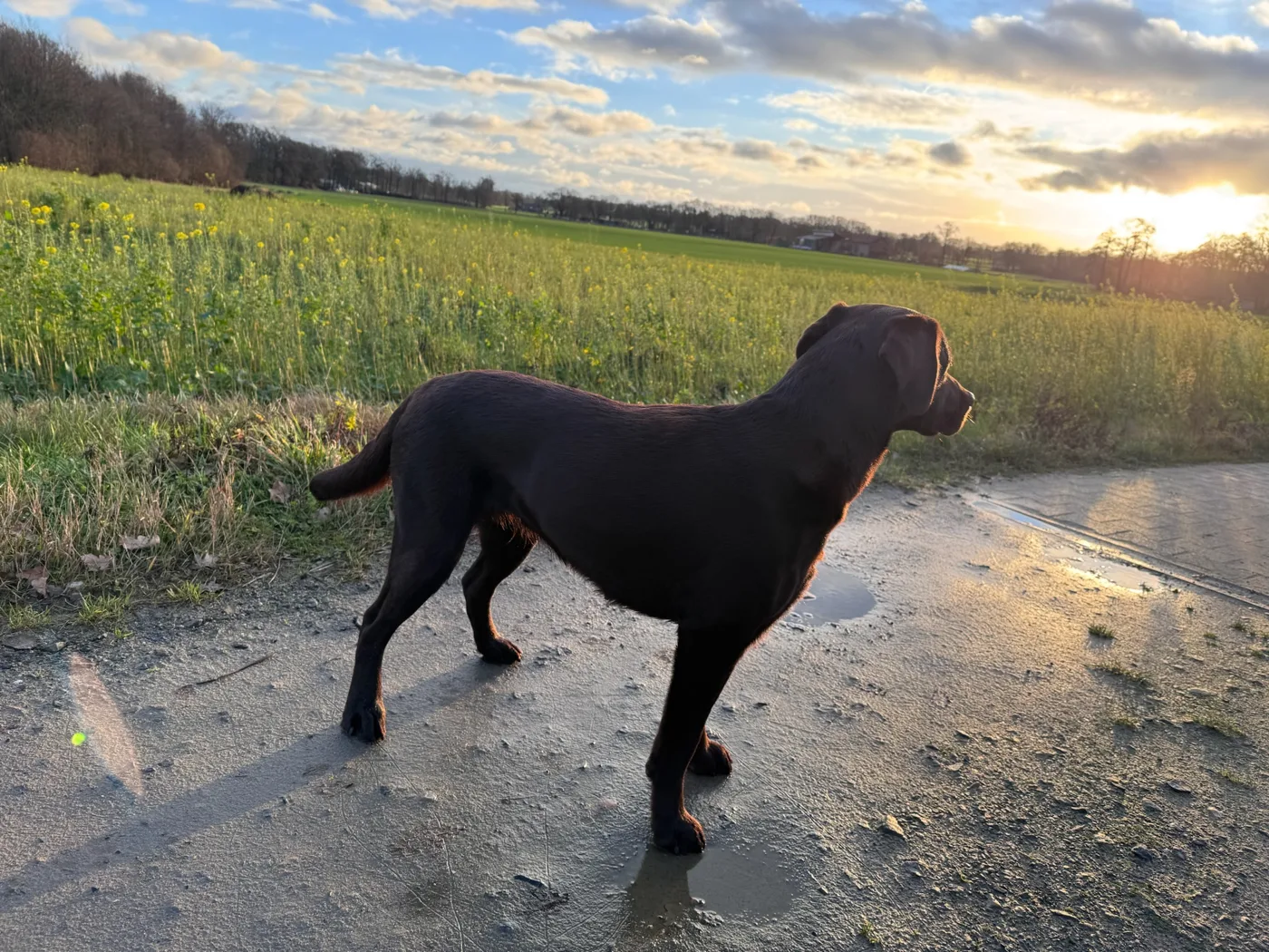 Elli – Bild 40