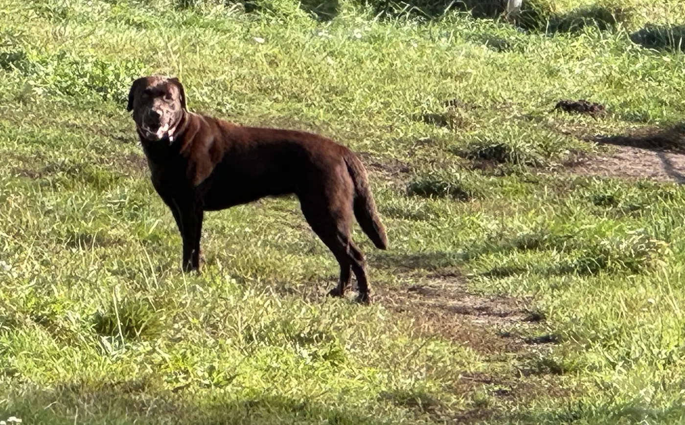 Elli – Bild 42
