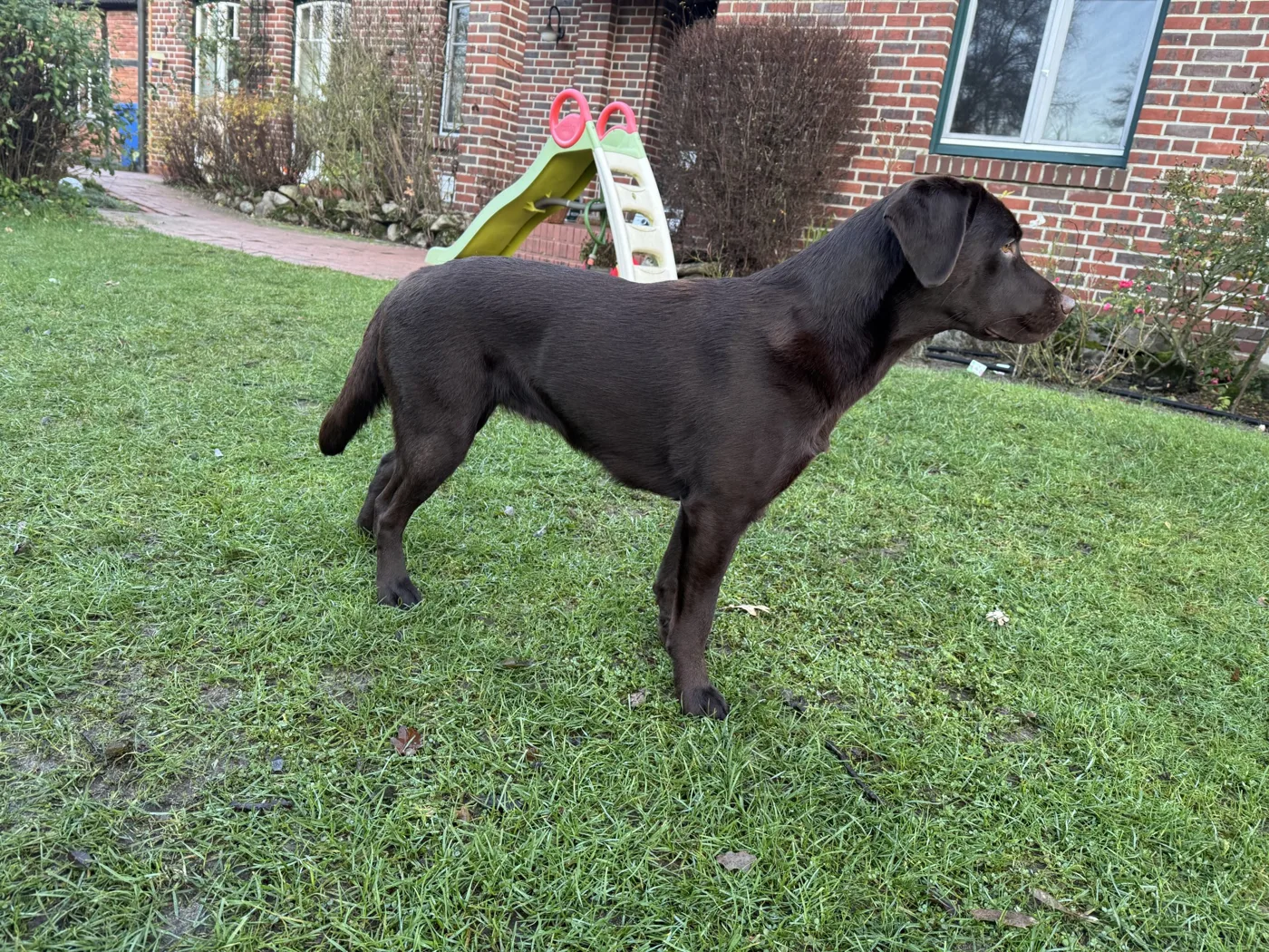 Elli – Bild 41