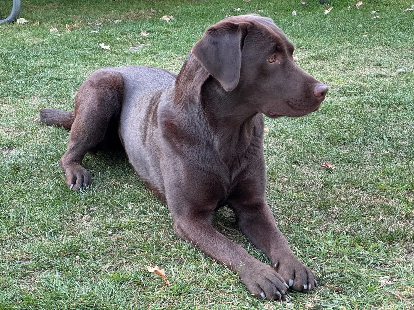 Elli – Bild 38